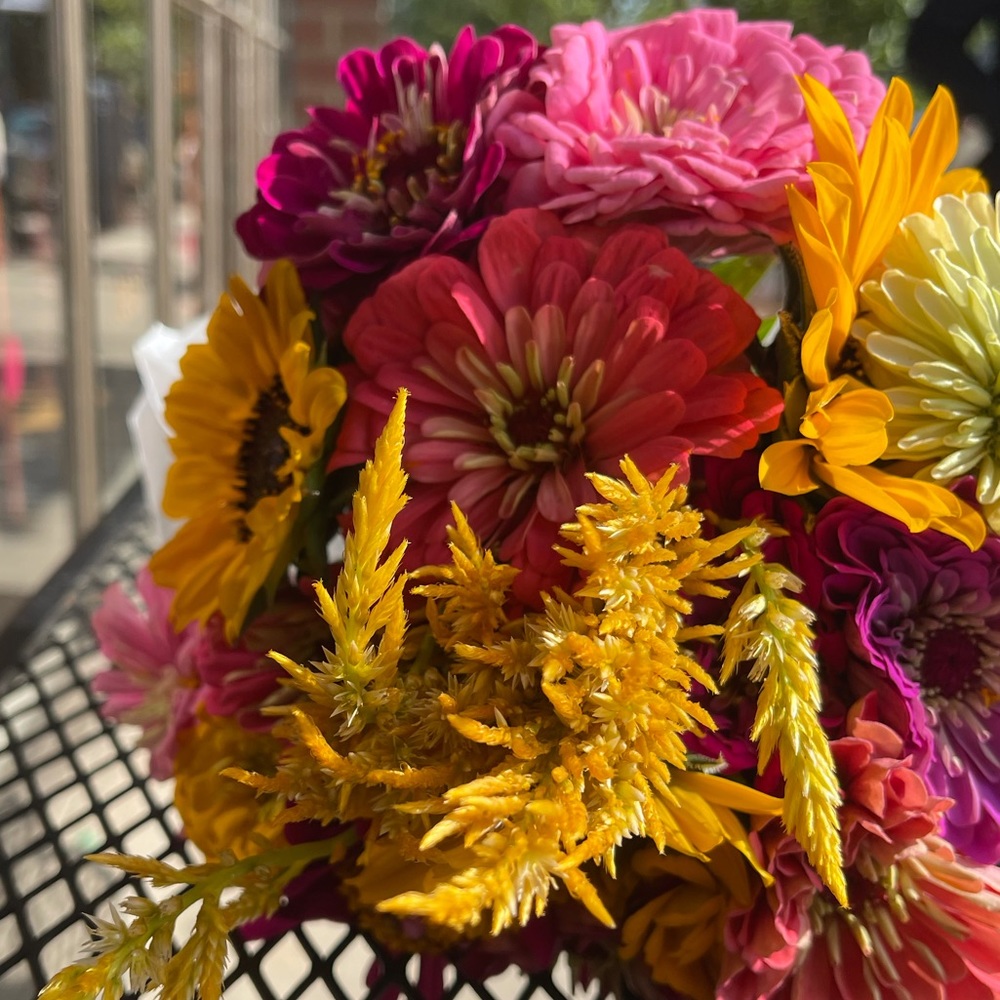 Meet your Posher, Luisa